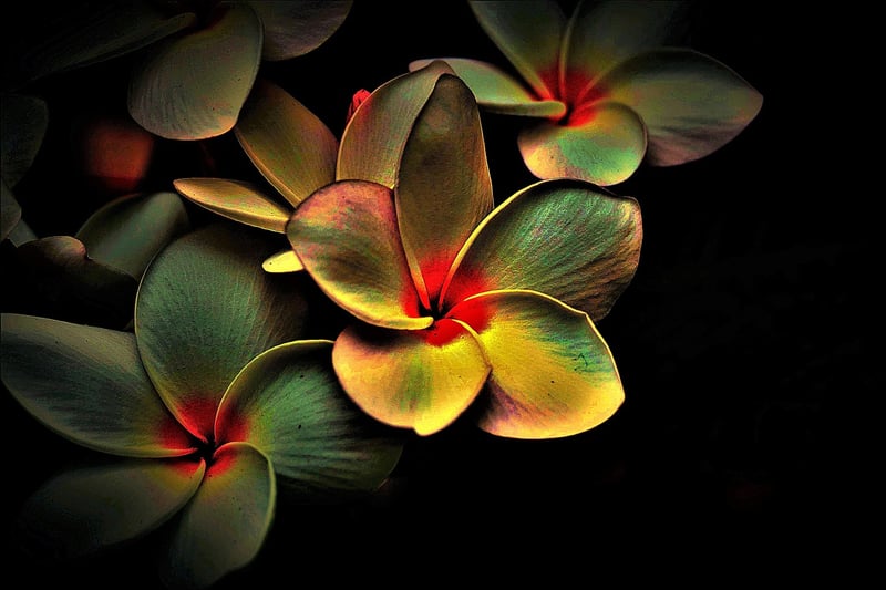 Colorful Display
